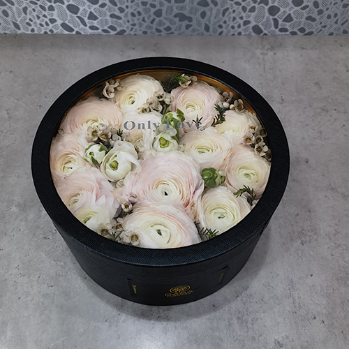 Irina 2 - Height: 12 cm
Width: 24 cm

This box contains ranunculus flowers.