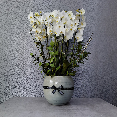 Hestia - Height: 90 cm
Width: 70 cm

This vase contains orchid plants.