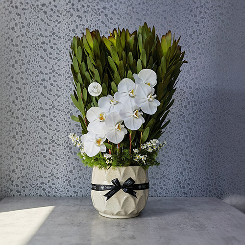 Louisa - Height: 70 cm
Width: 50 cm
This vase contains safari sunset and orchid flowers.