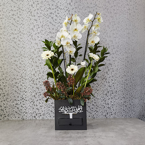 Verdant White - Height: 80 cm
Width: 40 cm

This box contains orchid plants and gerbera flowers with chocolates.