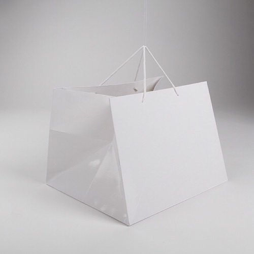 Bag white