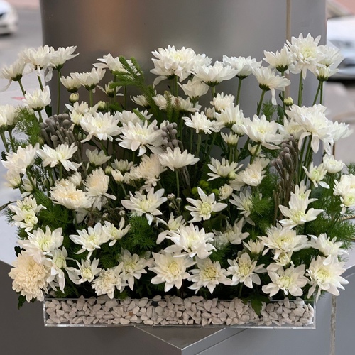stand acrylic flowers creez white - Special Discount