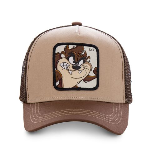 Looney Tunes Taz Brown