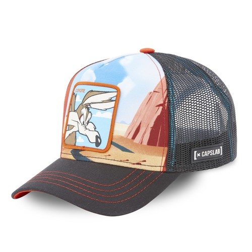 CASQUETTE ADULTE LOONEY TUNES COYOTE