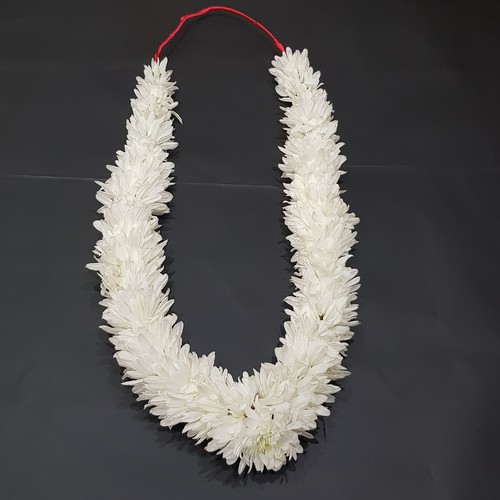 White Craze collar for adults and grown ups 102 - The white Craze flower forms a wonderful Collar  Length 70cm