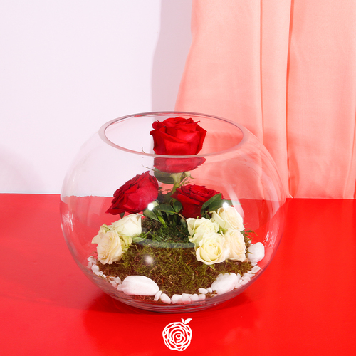 Garden in a Vase 507 - 3 red roses, baby roses white, moss, white stones 
 Height 20 cm Width 25 cm