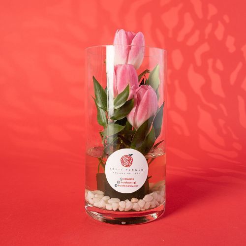 Tulip in Glass Vase 518 - Pink Tulip and green rescuss With White Stone in Glass Vase Dimensions 
 Height 20 cm Width 10 cm