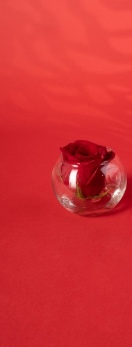 Rose in circular vase 209 - Rose in circular vase diameter 9cm Hight 8cm