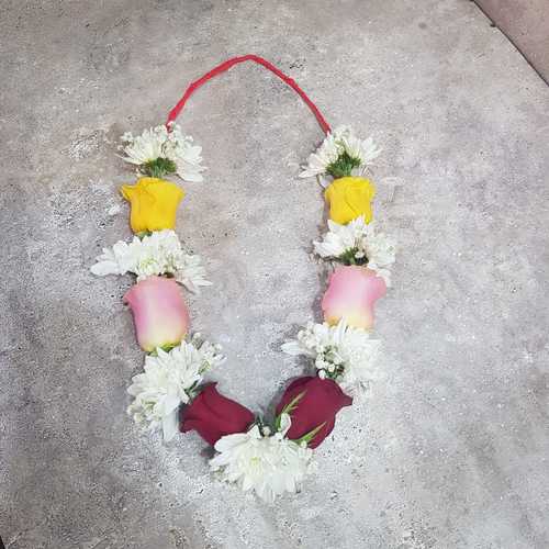 (kids) roses with white craze collar 117 - yellow,pink and red roses  and white craze  with white gypsophilia length 35cm