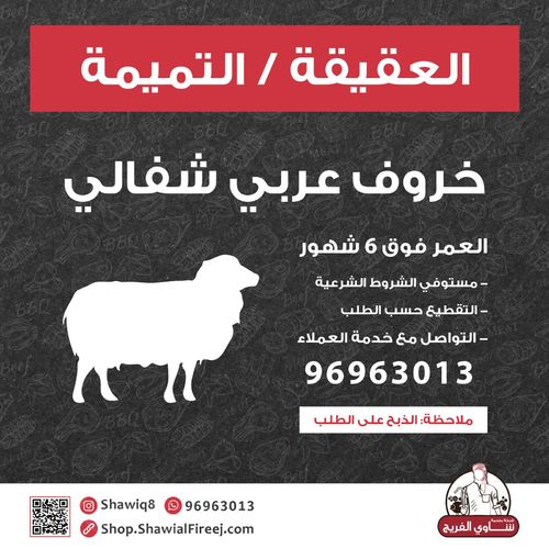 Aqiqa - Shifali - Shefali Arabian lamb, over 6 months old Slaughter on request Meets the legal requirements Please Order Before One Day Contact with us for order