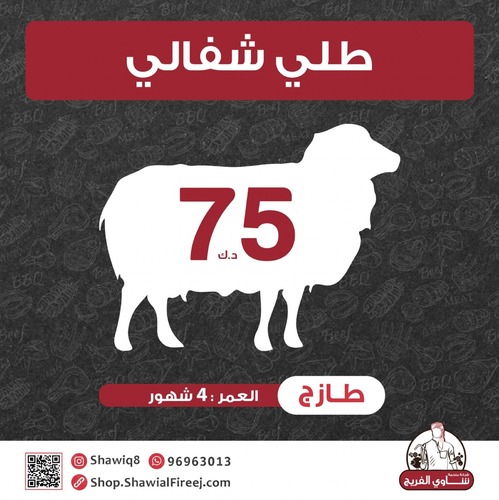 SHIFALI LAMB - SHIFALI LAMB 
AGE 4 MONTH