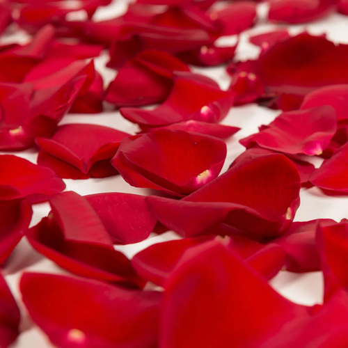 Rose Petals