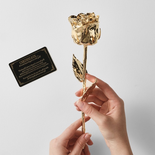 24K Gold Rose - Natural Rose Dipped in 24K Gold
