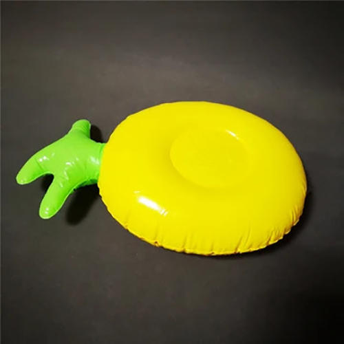 Pineapple Floating Drink Holder
