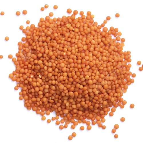 عدس احمر - 1 كيلو