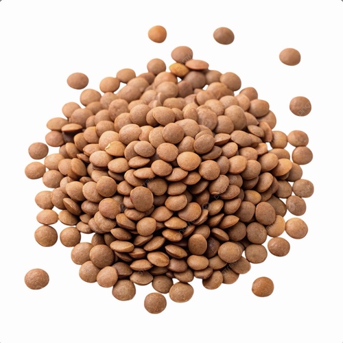 عدس كشري - 1 كيلو