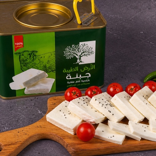 Nabulsi Sheep Cheese