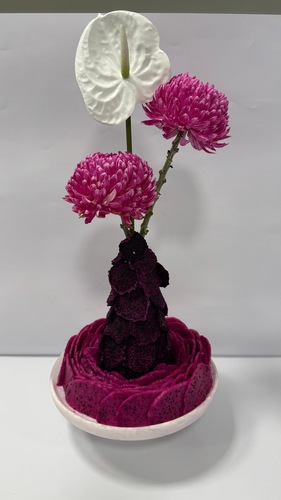 زهرة دراقون وردي