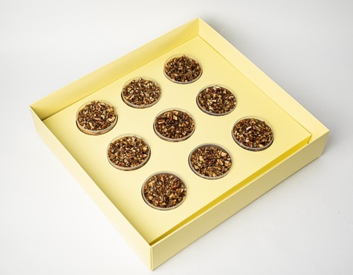 Pecan Cheesecake - Creamy cheesecake topped with sweet caramelized pecans for a perfect balance of smooth texture and nutty crunch .