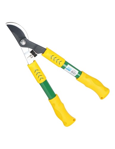 018SKB Scissors Branch TWN - 018SKB Scissors Branch TWN