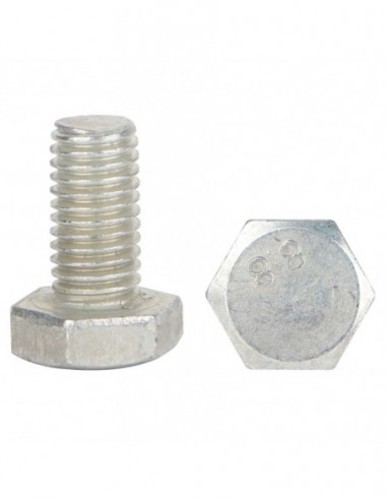 Iron Screw 20×10Ml Galvaniz IND - Iron Screw 20×10Ml Galvaniz IND