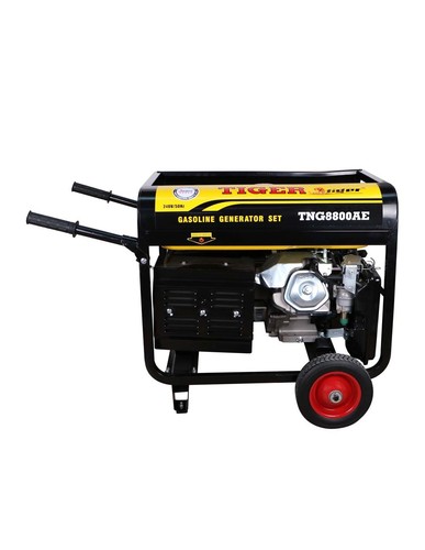 Tiger Teng-8800A-7K generator. Chen