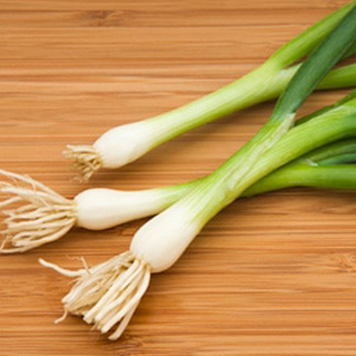 Green onion