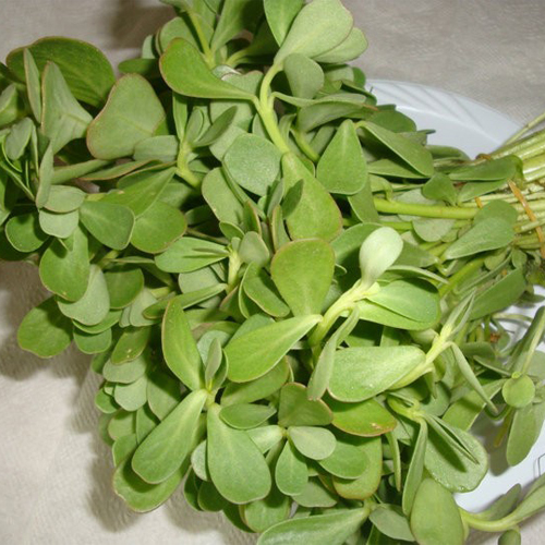 Kuwaiti berbere 1 bunch (weight 100 grams)