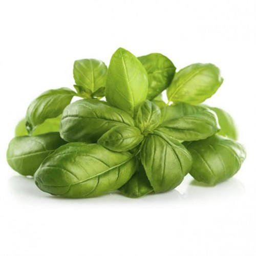 Saudi basil 100gram