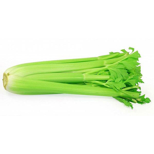 American / Dutch celery1 kg