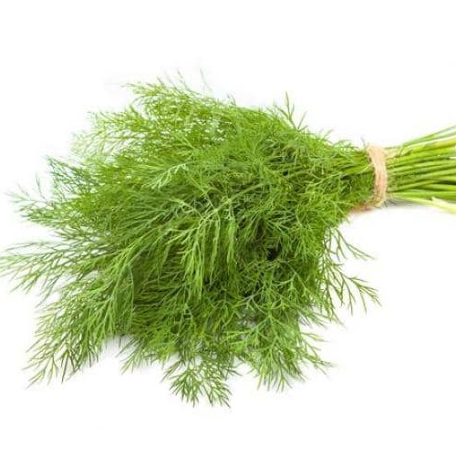 Kuwaiti dill, 1 bundle, weight 250 grams