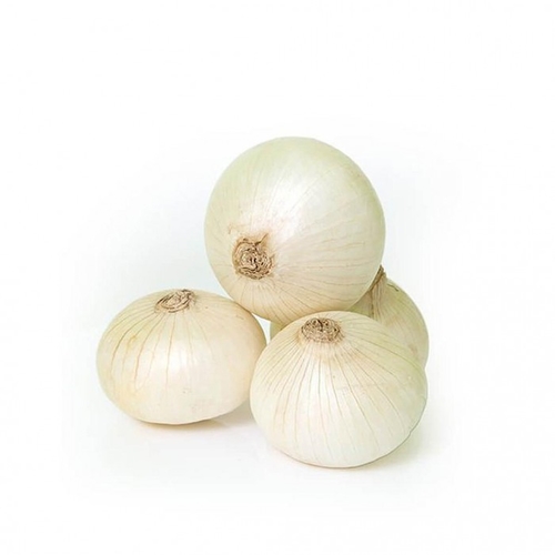 Spanish-Dutch white onion (weight 1 kg)