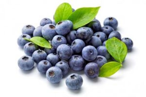 Blueberry us packet 170 g