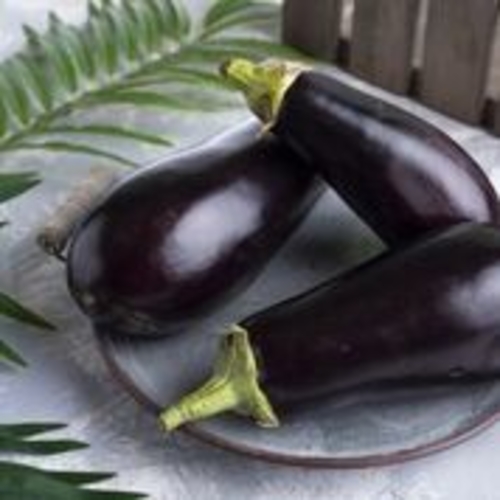 Kuwaiti eggplant 1 carton (weight 3.5 to 3 kg)