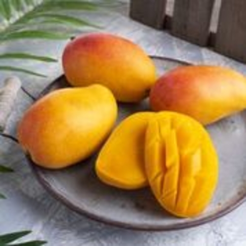 Yemeni Mango Timur (1 carton of 10  pieces)