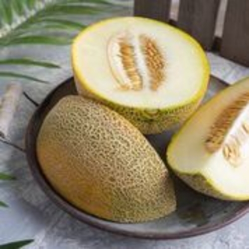 Jordanian melon 1 piece (the weight of a piece is 1.250 kg)