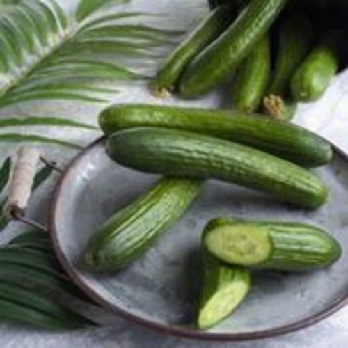 Kuwaiti cucumber carton weight 2 kg