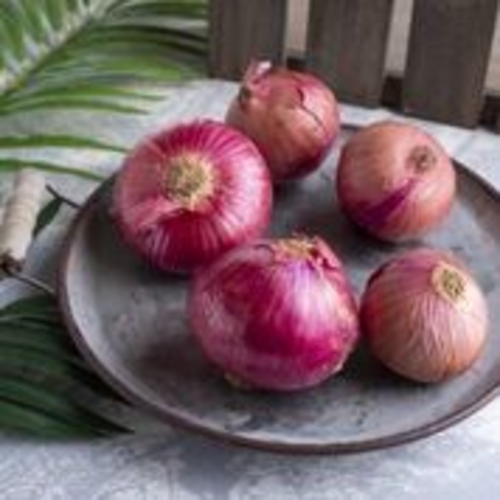 Yemeni red onions in a small sack (weight approximately 3 kg