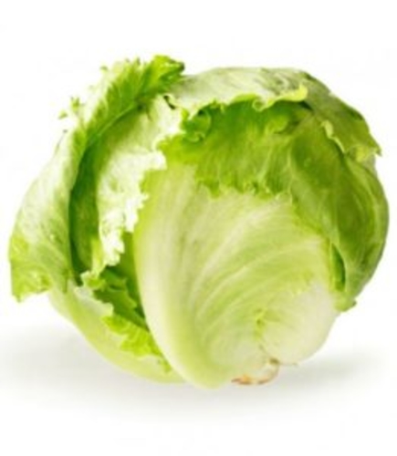 Spanish-Lebanese round lettuce (weight 1 kg)