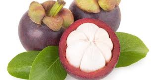 Colombia mangosteen 1 packet (weight 500g)