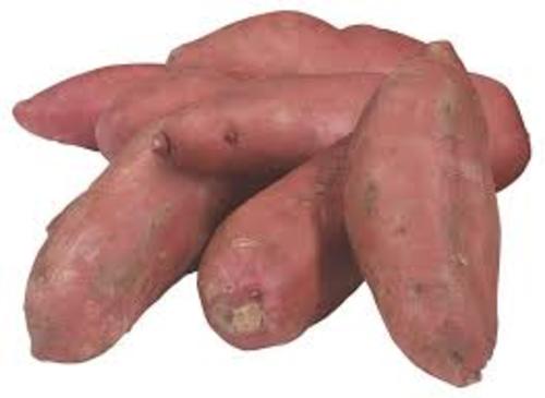 Egyptian sweet potato 1 carton (weight is approximately 3 kg)