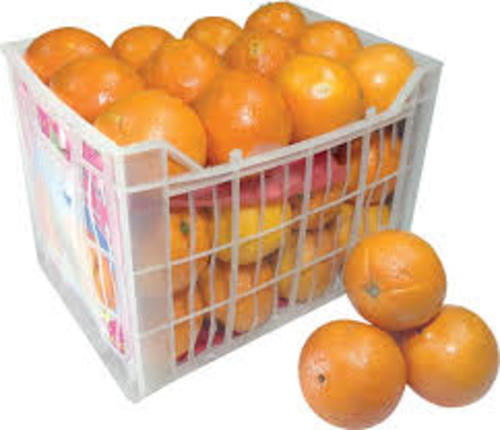 Orange Lebanese juice 1 basket 5 kg