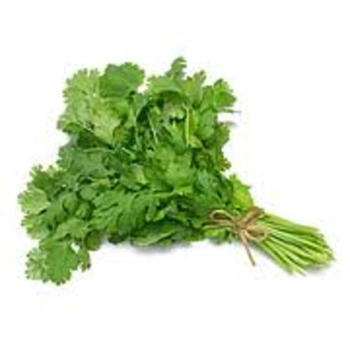 Kuwaiti celery 1 bundle 100 grams