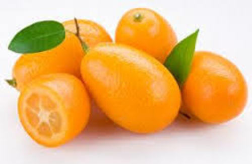 Thai-  Holland kumquat - 500gram