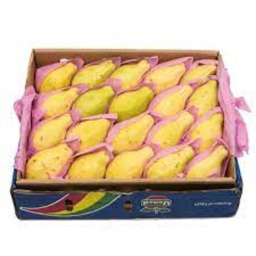 Egyptian Guava (1 carton, 1 kg)