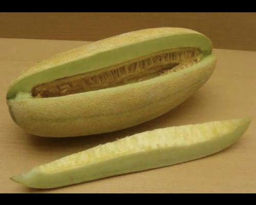 Melon Mashhadi Iranian 1 piece (the weight of the piece is 3 kg to 0.3.5 kg)