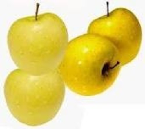 Italian golden apple (weight 1 kg)