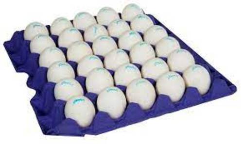 United Eggs - Naif (2 egg trays)