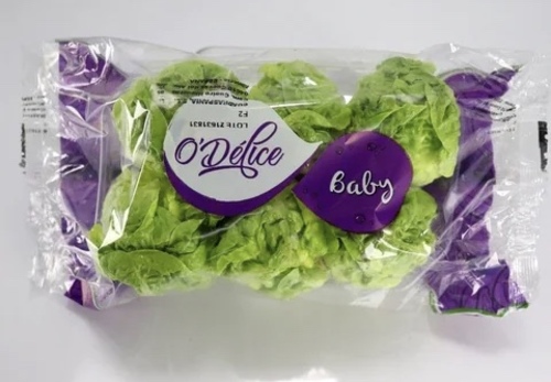 Lettuce Baby gem  1pcs