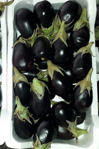 Jumbo Flynn Eggplant - Kuwaiti - Saudi Weight 6 kg)